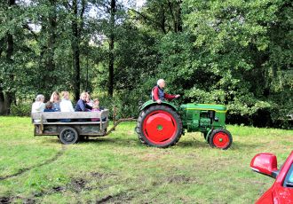 Trecker auf einer Wiese