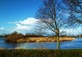 Landschaftsbild